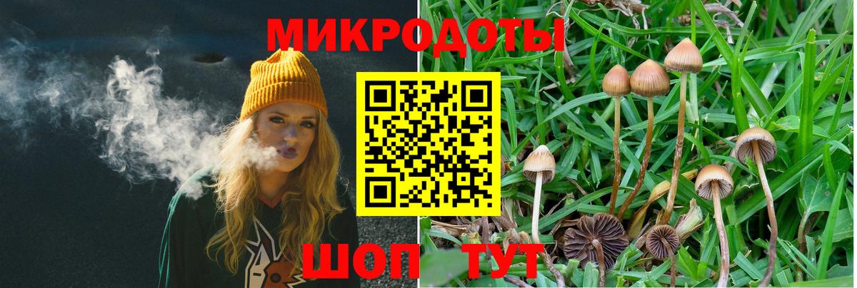 Псилоцибиновые грибы Magic Shrooms Мыски